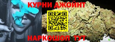 крисы Кулебаки