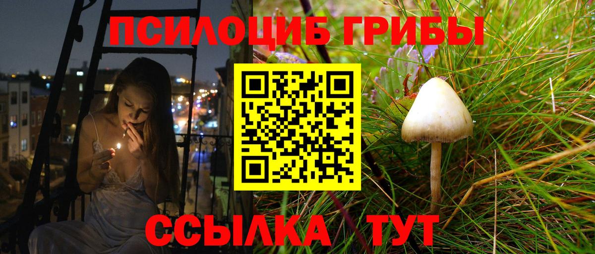 Галлюциногенные грибы Psilocybe  Галлюциногенные грибы прущие грибы  купить закладку  Вход с VPN  Кашира 