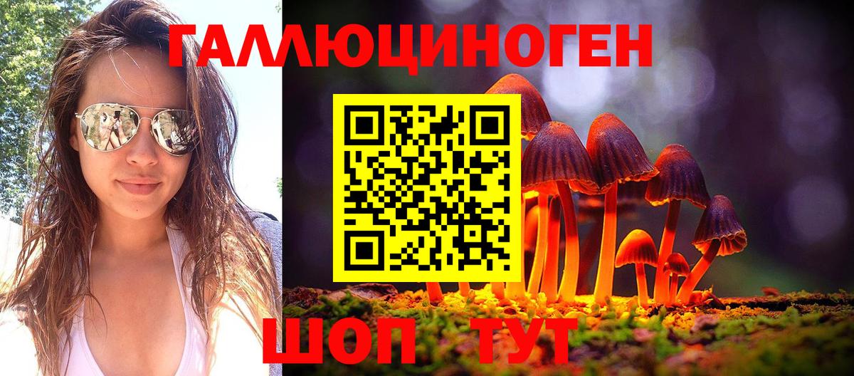 Галлюциногенные грибы Psilocybe Кашира