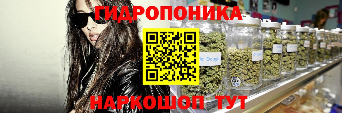 Кашира  Марихуана сатива  Вход с VPN  Бошки марихуана сатива  Каннабис Amnesia  Канабис Bruce Banner 